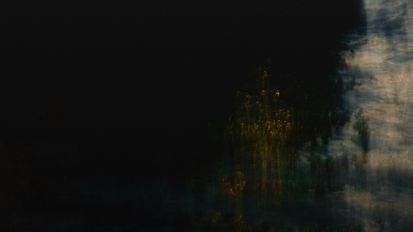 Abstract dark nature background