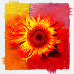 Abstract Sunflower